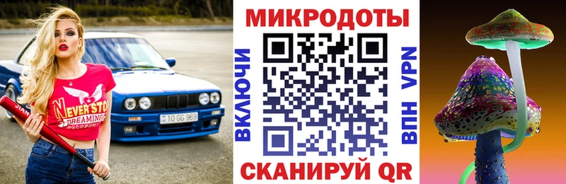 Псилоцибиновые грибы Magic Shrooms  сколько стоит  Шенкурск 