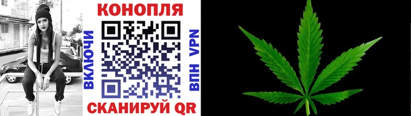 omg ONION  Шенкурск  Конопля Amnesia 